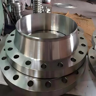 BS 용접 넥 플랜지